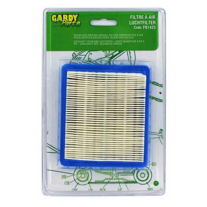 Filtre briggs pour moteur quantum (remplace : 491588)